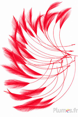 Haan - 10-15 cm - rood